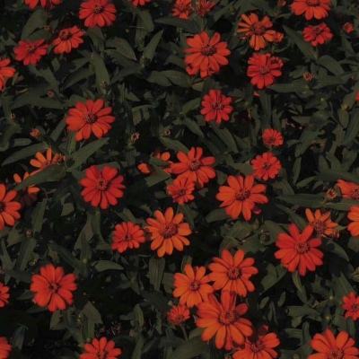 银行春招进行时：科技岗全面渗透，新兴业务人才储备起步